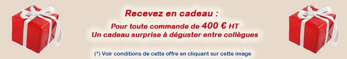 Offre Promotionnelle